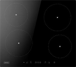 Induktionsfeld Reparatur Strausberg